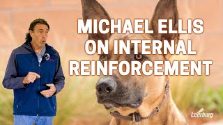 Michael Ellis on Internal Reinforcement