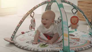 Lionelo Paula Plus Pl