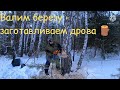 Валим березу-заготавливаем дрова