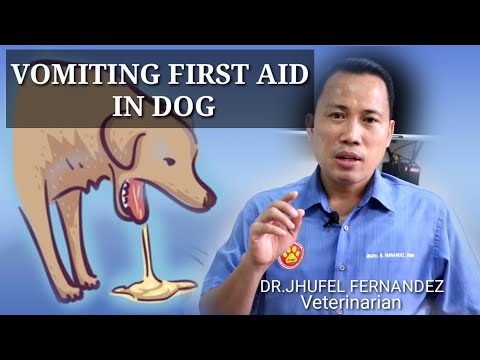 VOMITING DOG || FIRST AID || Mga Dapat Gawin Kapag Nagsusuka Ang Aso!