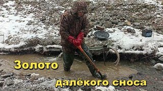 Сезонное Золото