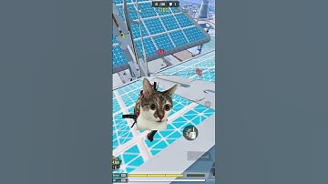 Meow camping on top of the platform #callofdutymobile #codmobile #codm