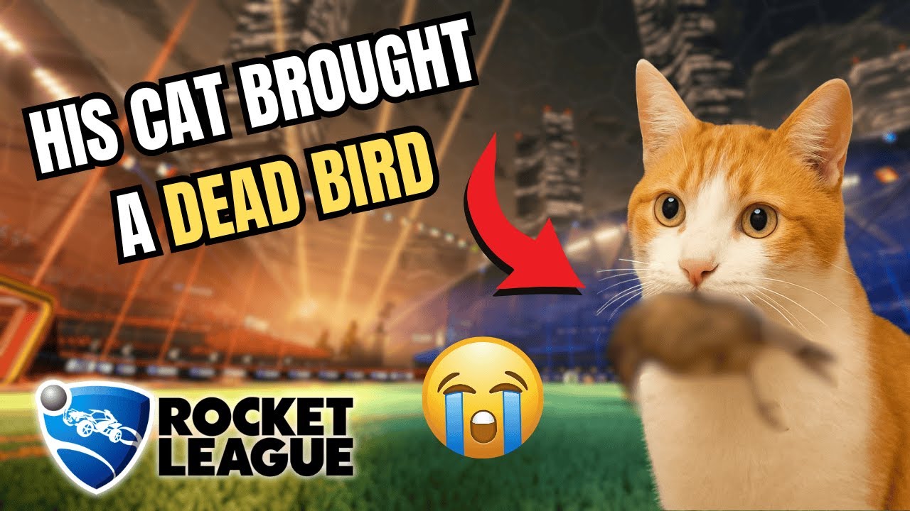 This Cat RUINED Our Rocket League Match 😂💀 - YouTube