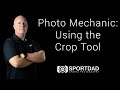 How to use the crop tool in photo mechanic