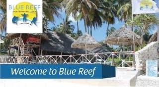 Welcome to Blue Reef