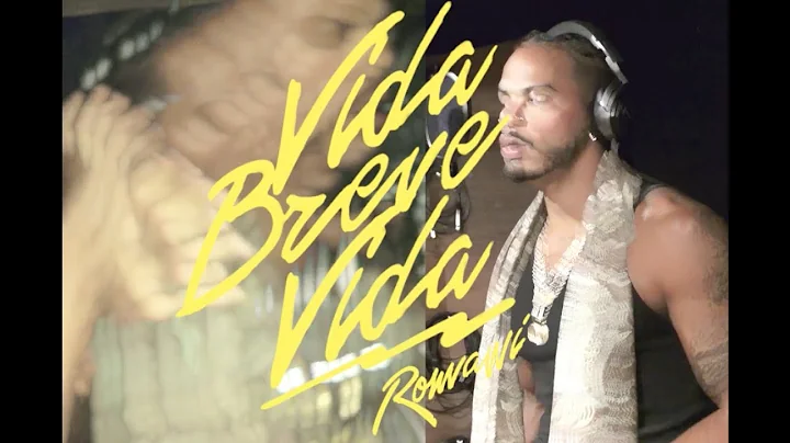 Vida Breve Vida - Roman
