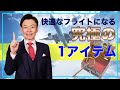 快適なフライトになる究極のワンアイテム