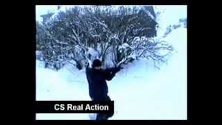 Counter Strike (Real Action)