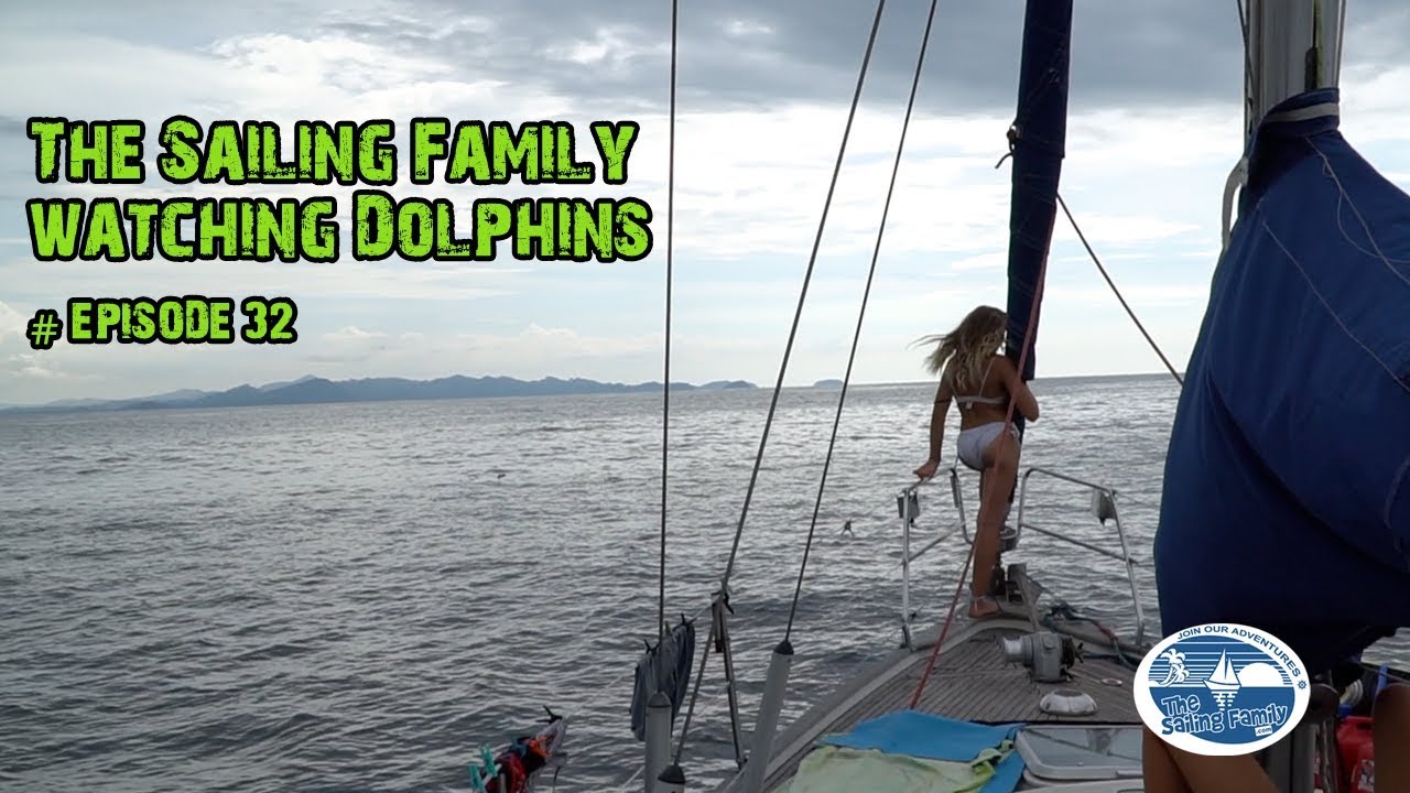 The Sailing Family watching Dolphins  (The Sailing Family) Ep.32