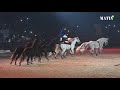 Salon du cheval del jadida  des shows exceptionnels pour animer les spectacles de nuit