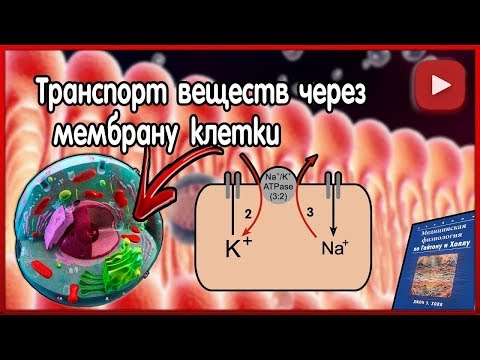 Физиология. Транспорт веществ через клеточную мембрану.