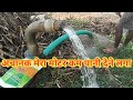 मेरा मोटर अचानक पानी कम देने लगा,3hp Motor Water Problem Ho Gaya , देखे कैसे मैंने ठिक किया ?