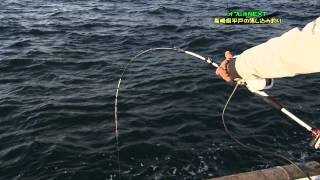 #068 長崎県平戸で釣ってモーニング！