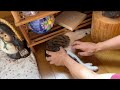 【保護猫】されるがままに隙間から出し入れされる猫