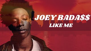 Joey Badass  -Like me Feat BJ The chicago Kid Traduction FR