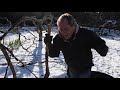 How To Prune Fruit Trees With Paul Gautschi