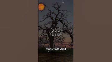تلاوة القرآن الكريم بصوت محمد اللحيدان