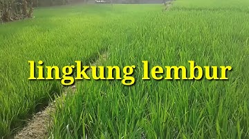 suasana sore lingkung lemburGps@gmail.com