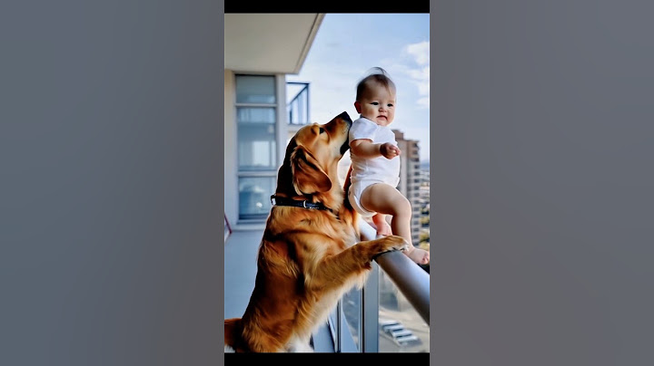 “Family’s Guardian Angel Dog”#dog #pets #shorts “                 Video Content Intended for Adults”