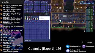 Terraria Calamity Expert Mode 26