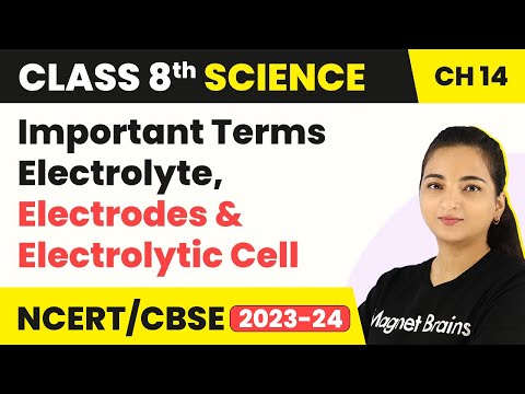 Class 8 Science Chapter 14 | Important Terms Electrolyte, Electrodes and Electrolytic Cell