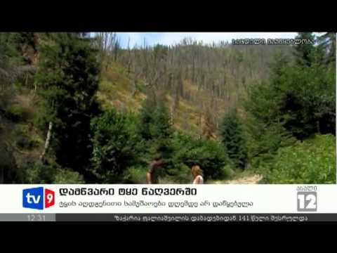 ახალი 12 | დამწვარი ტყე წაღვერში | 16.08.12