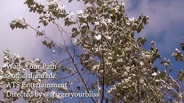 Motivation Video Walk Your Path by Jah Redz