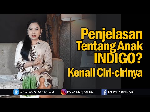 Video: Apa Itu Indigo