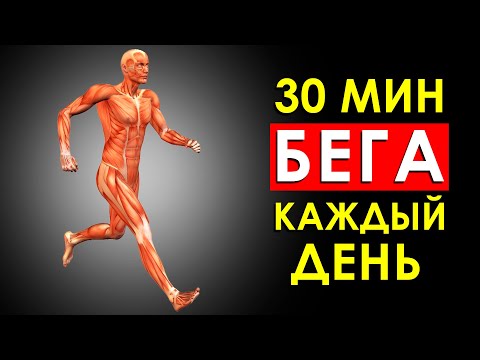 Видео: 30 МИНУТ БЕГА, Что Будет с Телом, Если Бегать Каждый День