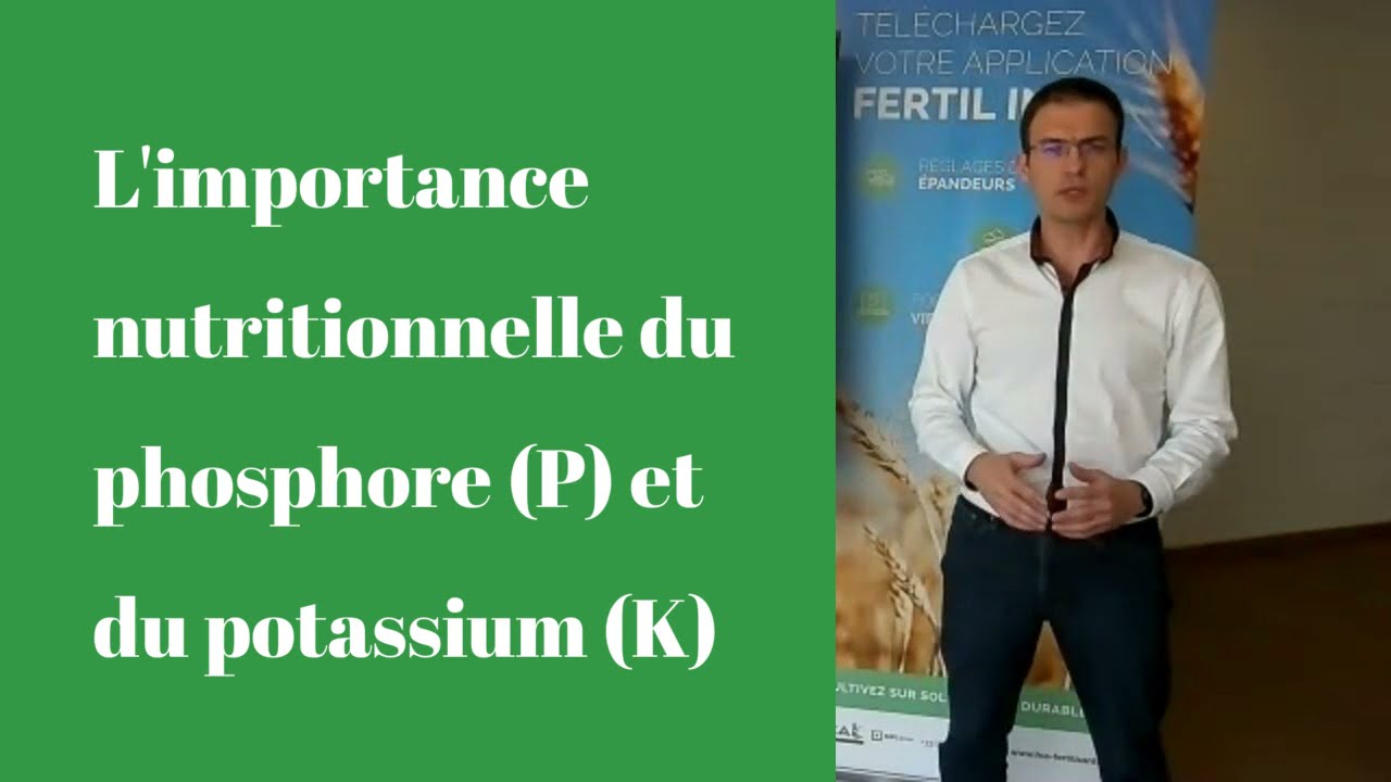 L'importance nutritionnelle du phosphore (P) et du potassium (K)