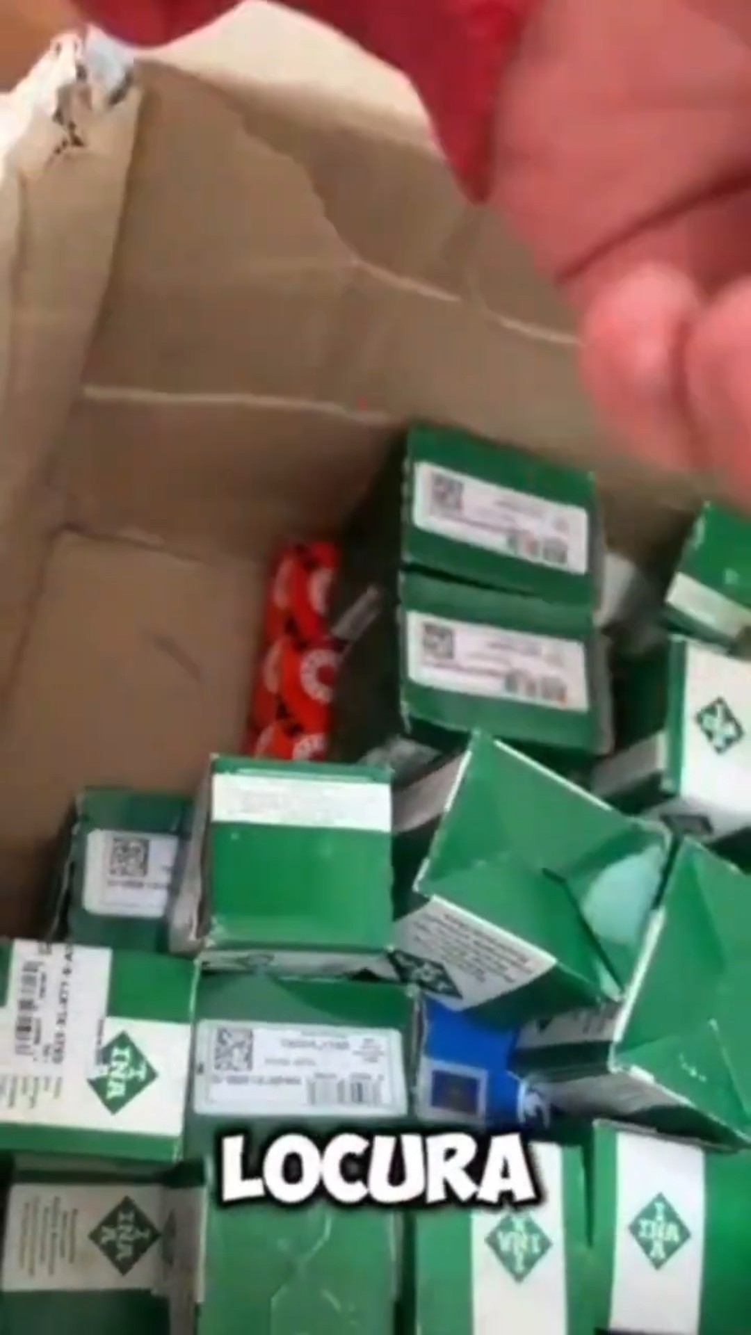 Rodamientos de primera, listos para el campo