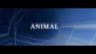 Troye Sivan - Animal (Lyric Video)