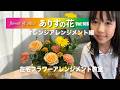 『ありすの花vol,108』秋のオレンジアレンジメント編