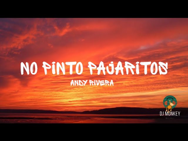 No Pinto Pajaritos - Andy Rivera (Lyrics/Letra) class=