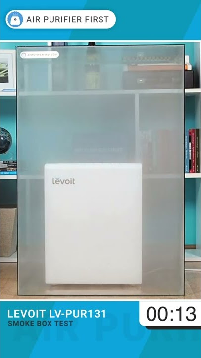 Levoit LV-PUR131 Review - HouseFresh