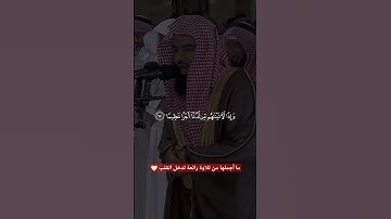#تلاوة_رائعة #تلاوة_خاشعة #تلاوة_هادئة #تجويد #أنس_العمادي #العمادي #البحرين #الجزائر #السعودية #مصر