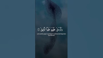 سورة الفيل #المصحف #لايك #اكسبلور #راحة_نفسية #دويتو #الرحمن #ترند #اهميه