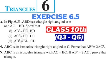 Triangles Class 10th Maths Chapter 6 (Exercise 6.5 Q3 To Q6) - NCERT Solutions