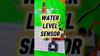 ESP32 Smart Water Level System 💧 | DIY IoT Project