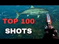 100 Best Spearfishing Shots You Won T Believe Ultimate Underwater Action 100 Best Spearfishing Shots You Won T Believe Ultimate Underwater Action