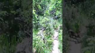 kaabo mantis x on a trail like and subscribe for long forms