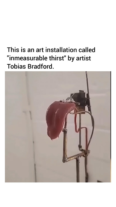 This is an art installation called 'inmeasurable thirst' by artist Tobias Bradford.