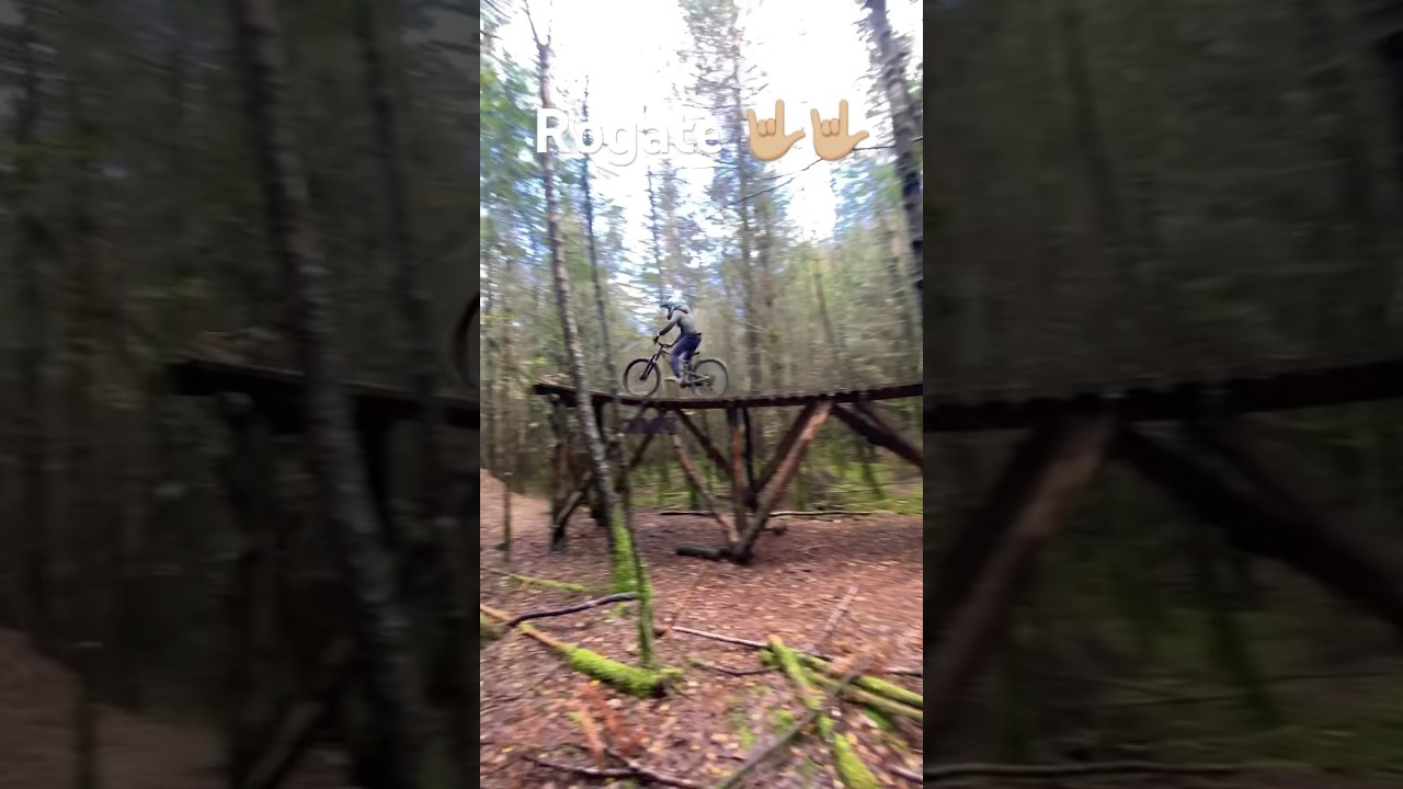 Rogatte 🤟🏼🤟🏼                           