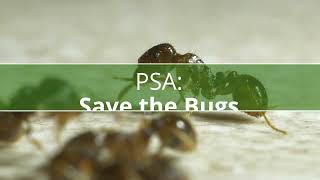 PSA Save the Bugs