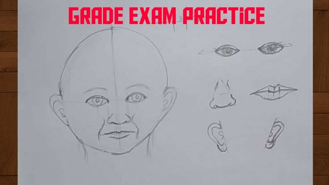 How To Draw Human Head With Proportion Memory Drawing Practice For