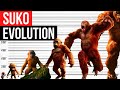 Evolution Of Suko Life Cycle Evolution Of Suko Life Cycle