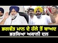 ਭਗਵੰਤ ਮਾਨ 'ਤੇ ਭੜਕਿਆ ਅਕਾਲੀ ਦਲ Bhagwant Maan asks question, Akali Dal is angry | The Punjab TV