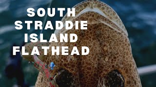 South Stradbroke Island flathead fishing with Zman and 6th Sense soft plastics 🎣 screenshot 2