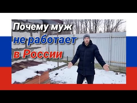 Сколько стОит детсад в России/Планы на вольер приходится менять/На эту тему можно снять сериал