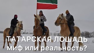 «Татарская лошадь» - миф или реальность?